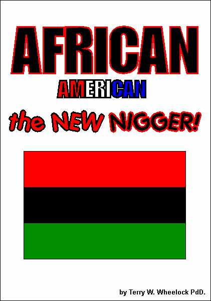 AFRICAN AMERICAN - the NEW NIGGER!